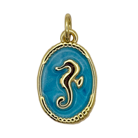 Caballito Mar enmarcado