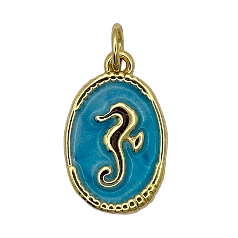 Caballito Mar enmarcado