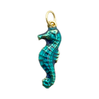 Caballito de Mar Turquesa