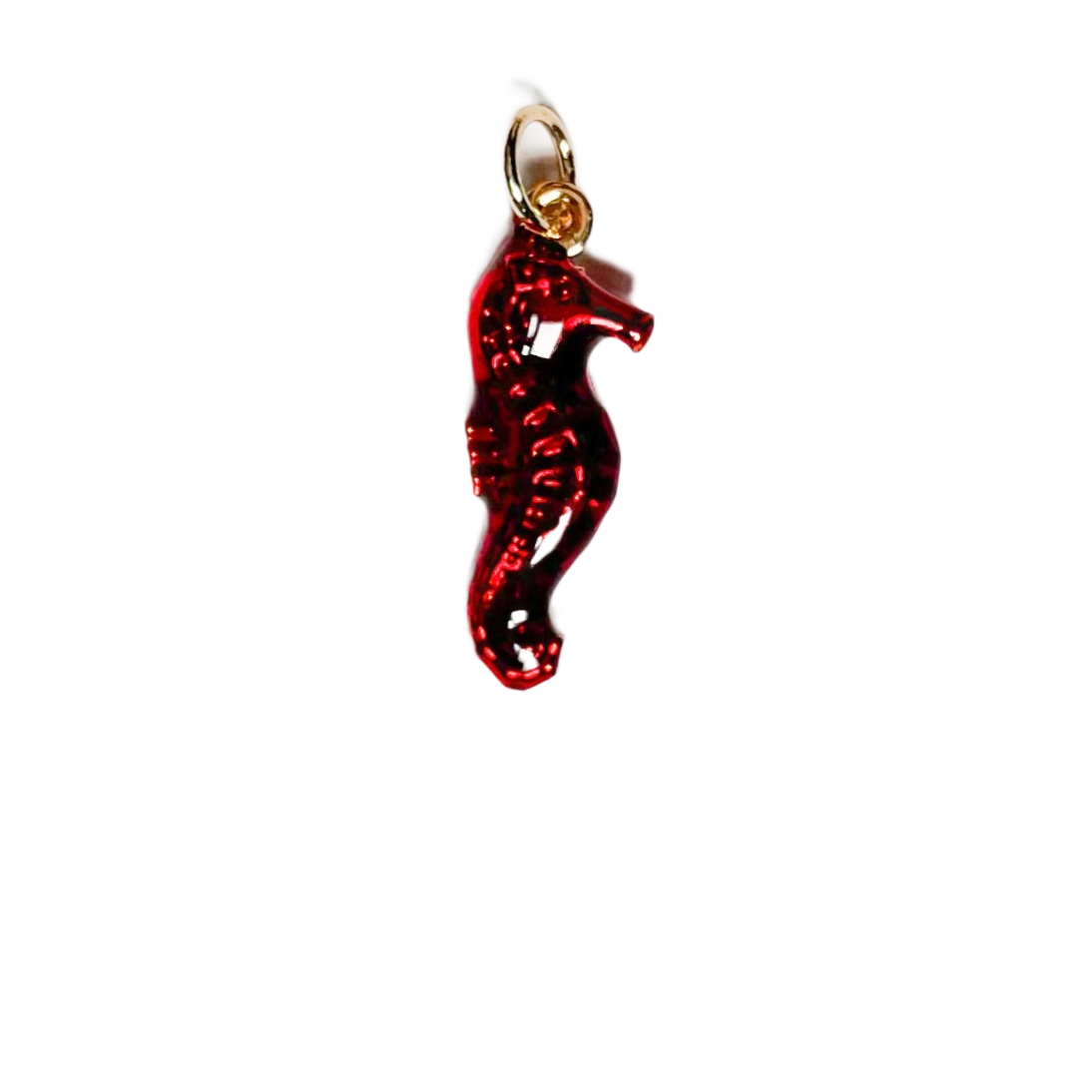 Caballito de Mar Rojo