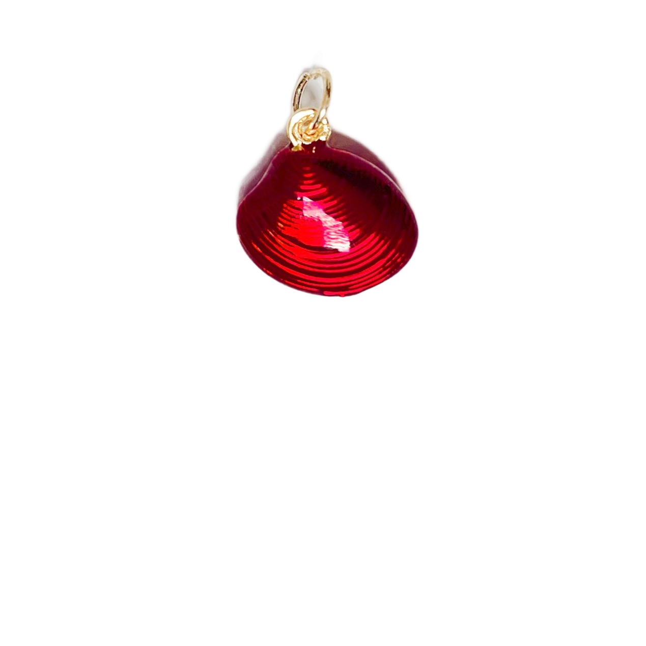 Concha Mar Rojo