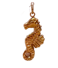 Caballito de mar